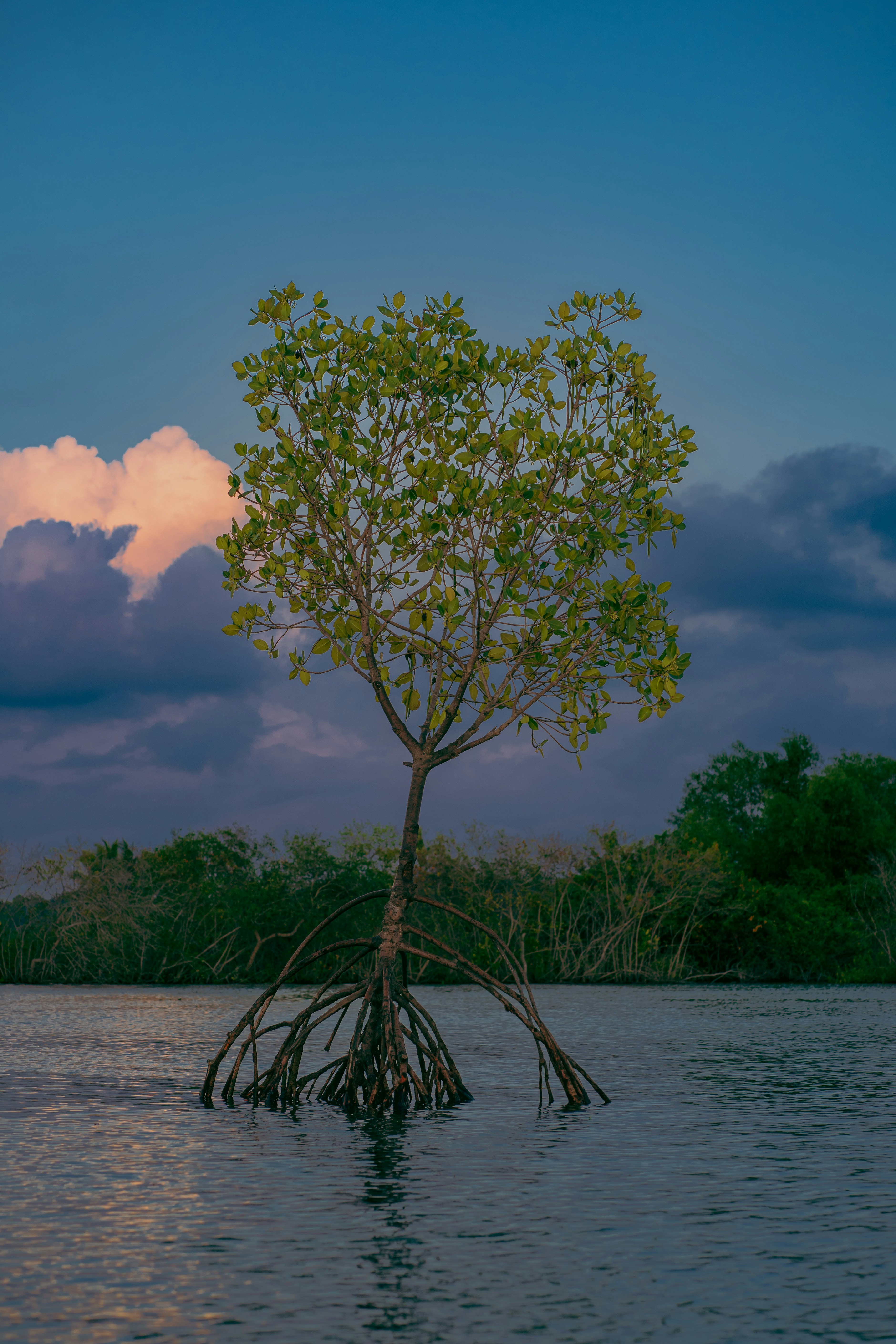Photo by nandhukumarndd
