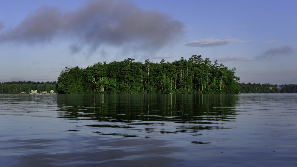 a body of water with trees in the back