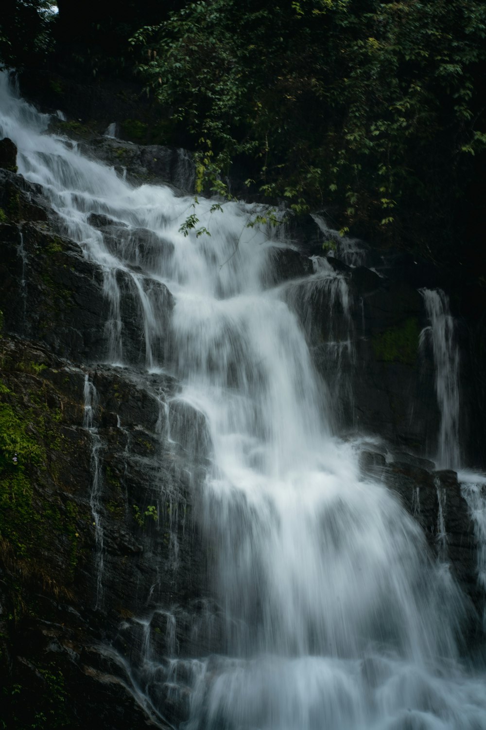 a waterfall with trees around it