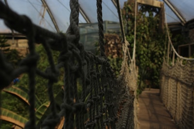 A narrow rope bridge with woven netting spans across a lush, green environment inside a greenhouse. The bridge appears suspended, and the background is filled with dense foliage, suggesting a tropical atmosphere.