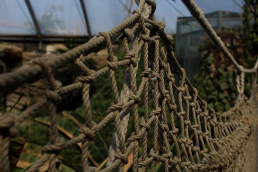 A close-up view of a rope suspension bridge or net structure, focusing on the intricate knots and weaves of the rope material. The background consists of green foliage and a glass greenhouse-like structure, adding a natural and rustic ambiance.