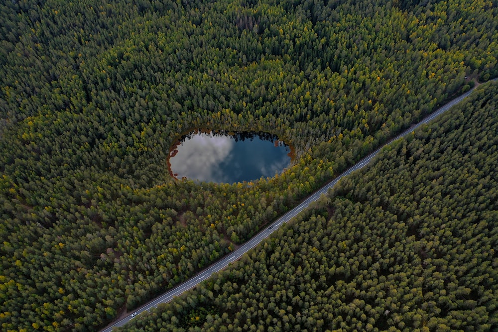 a winding road through a forest