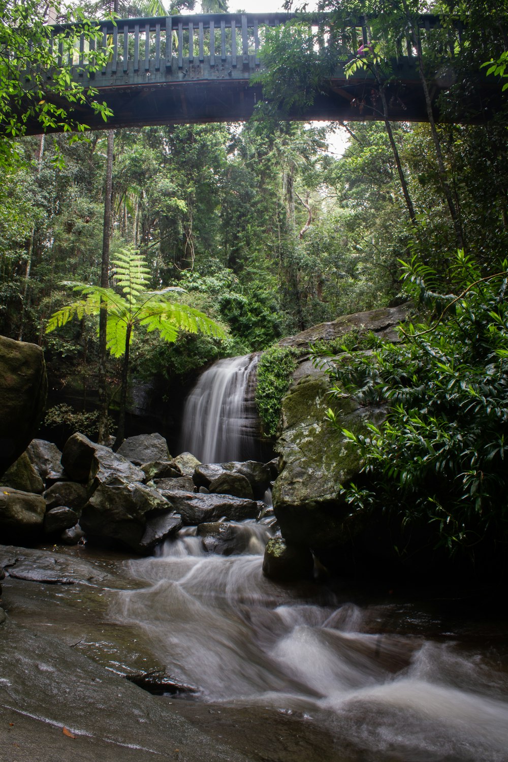 a waterfall in a forest