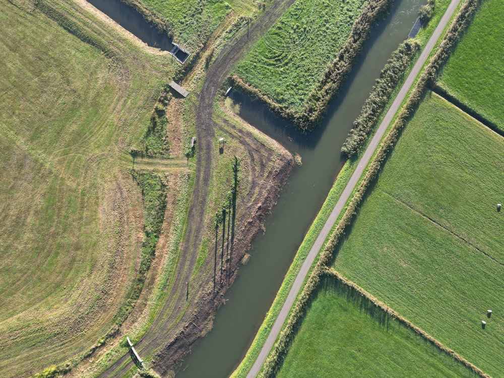 Une route avec une rivière et des arbres