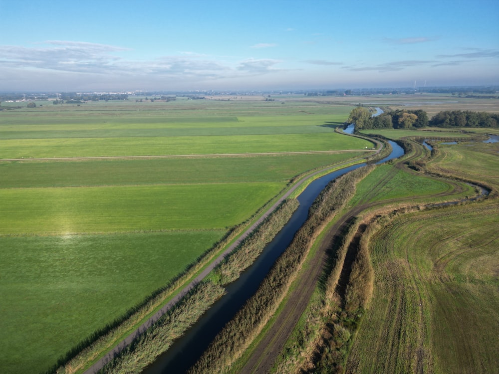 um grande campo com fileiras de culturas