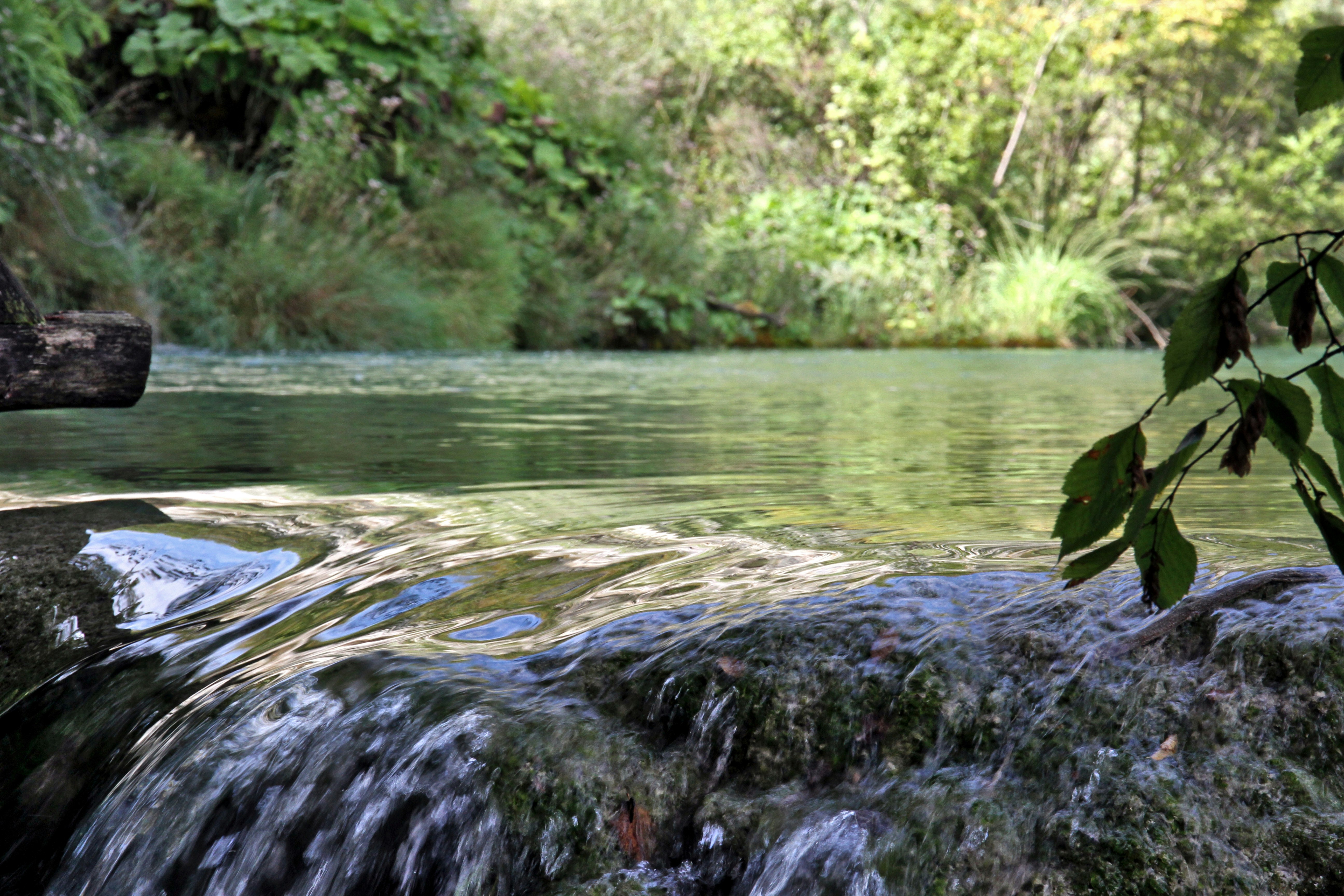 a river with rocks and trees