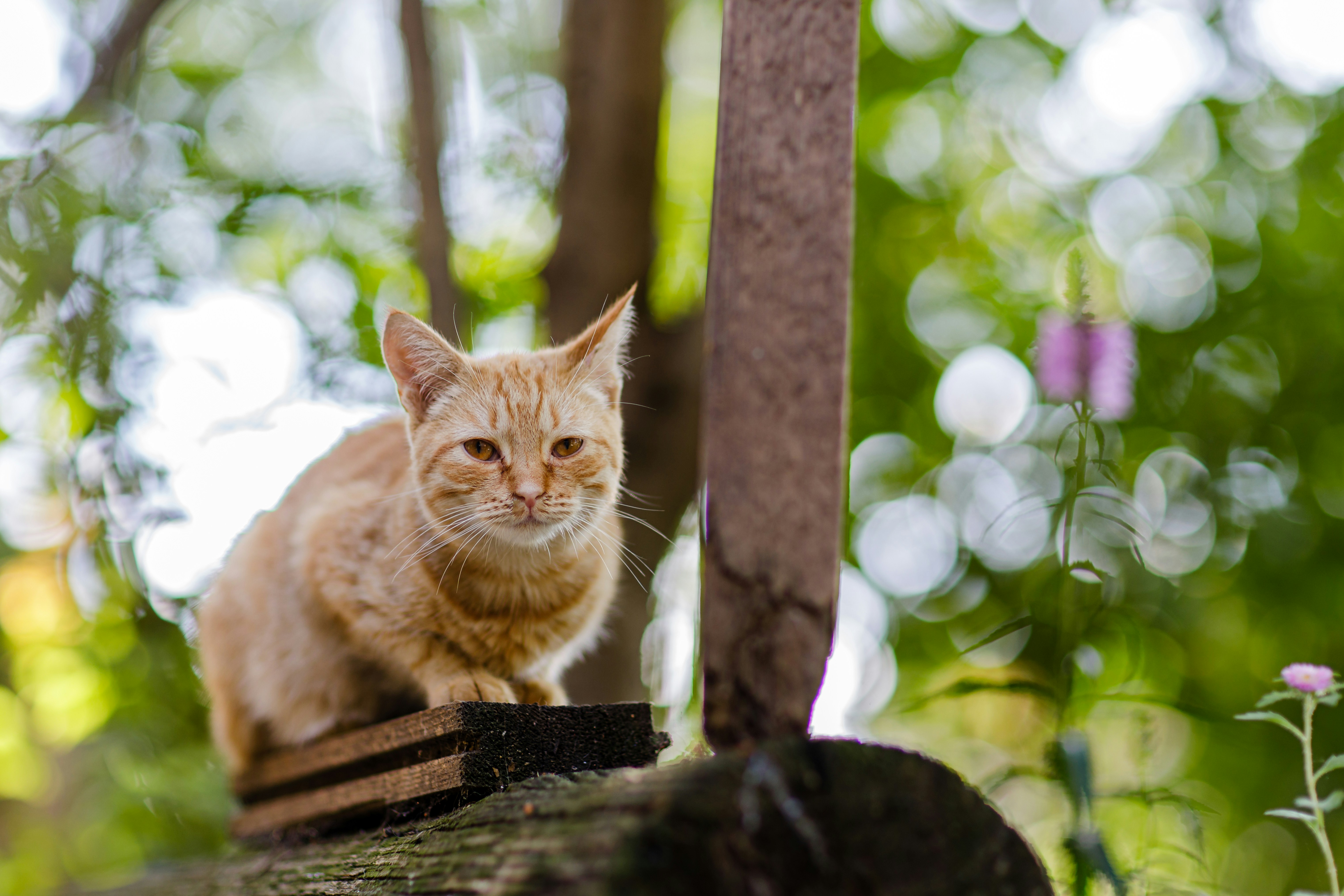 Photo by malygos6000