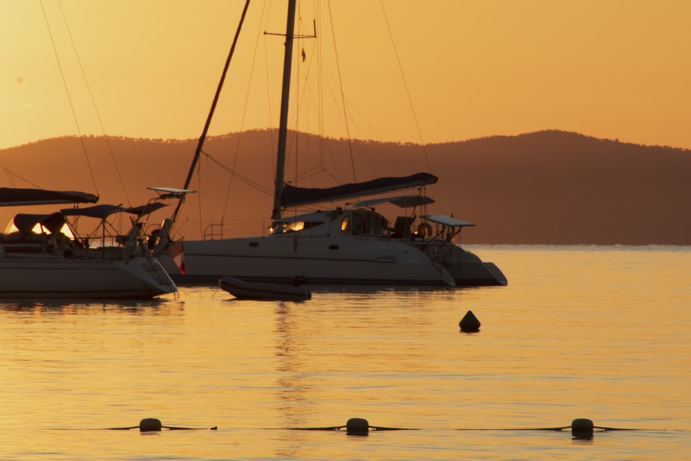 a couple of boats sit in the water