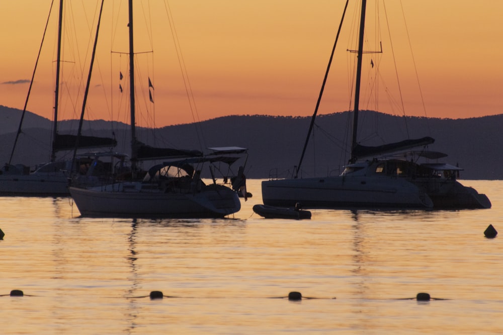 a group of boats sit in the water