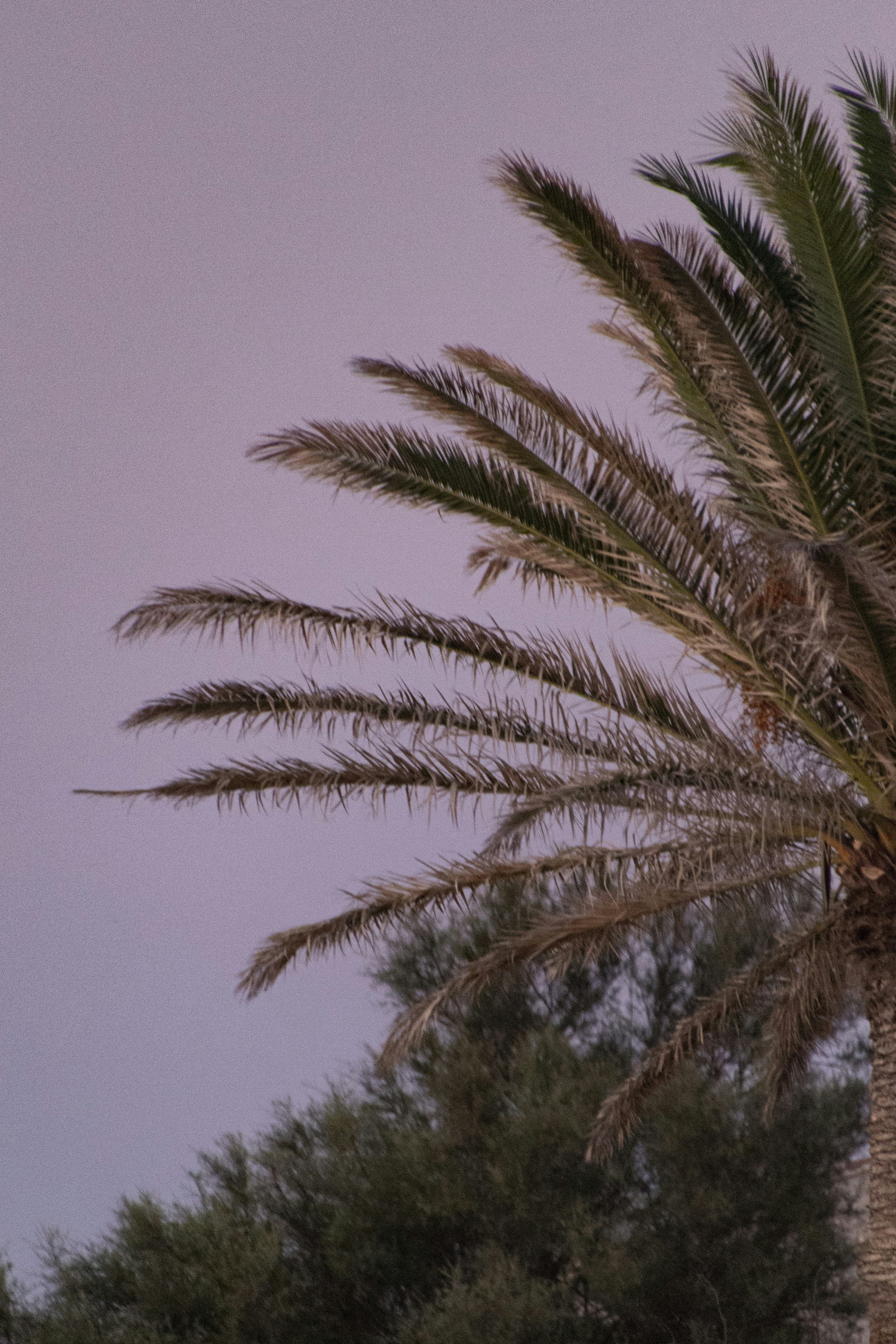 Photo by lucie_dorne