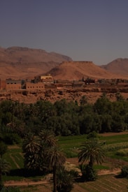 A scenic view of a desert landscape with an oasis. In the foreground, lush palm trees and cultivated green fields provide a stark contrast to the arid environment. In the background, a small village composed of traditional clay buildings sits at the base of a dramatic rocky hill with expansive mountains under a clear blue sky.