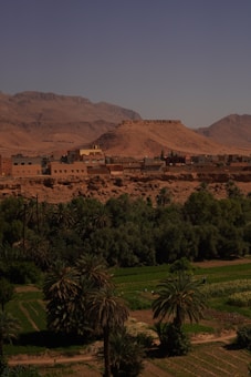 A scenic view of a desert landscape with an oasis. In the foreground, lush palm trees and cultivated green fields provide a stark contrast to the arid environment. In the background, a small village composed of traditional clay buildings sits at the base of a dramatic rocky hill with expansive mountains under a clear blue sky.
