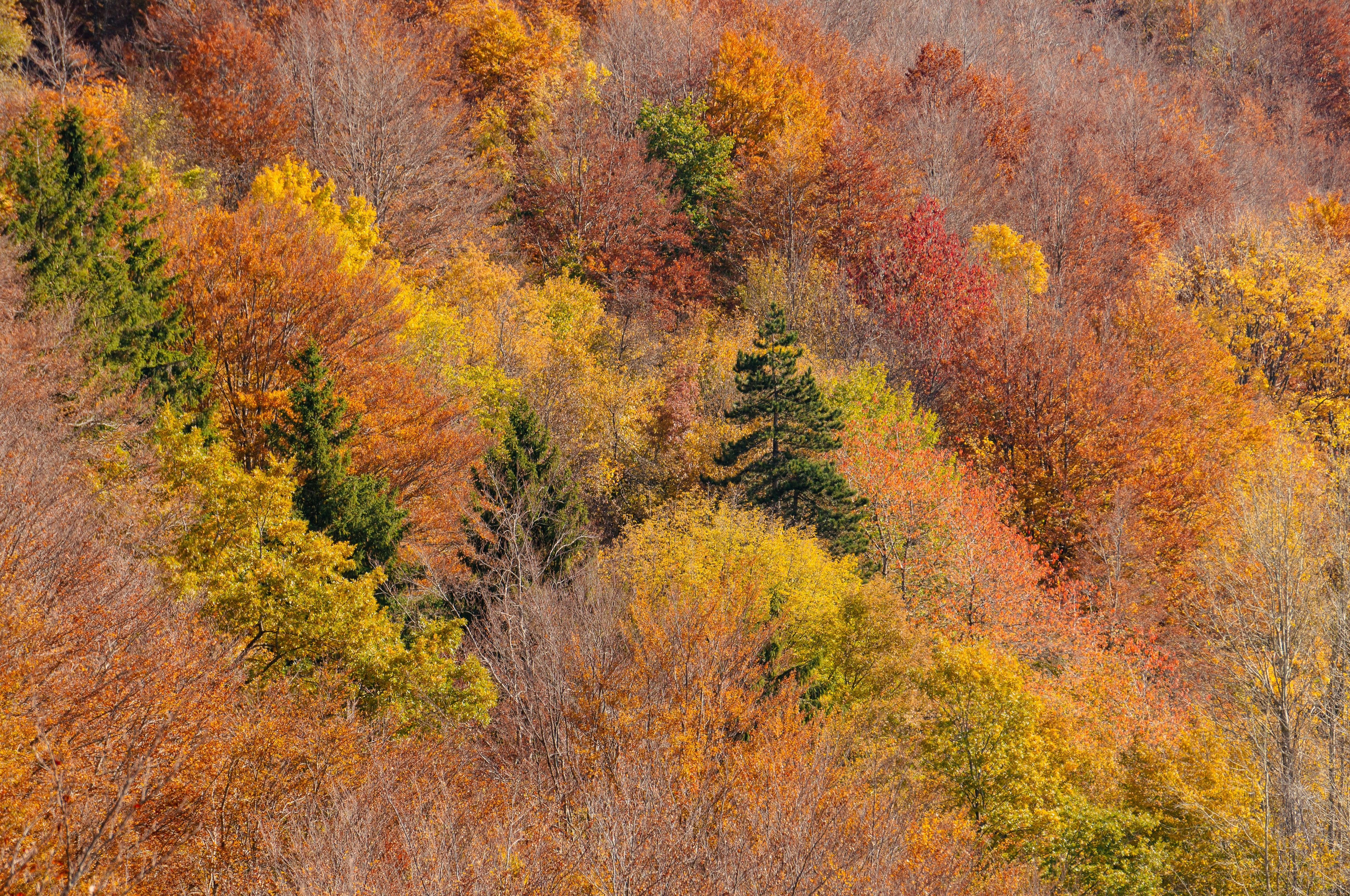 Photo by matteo_skyrider