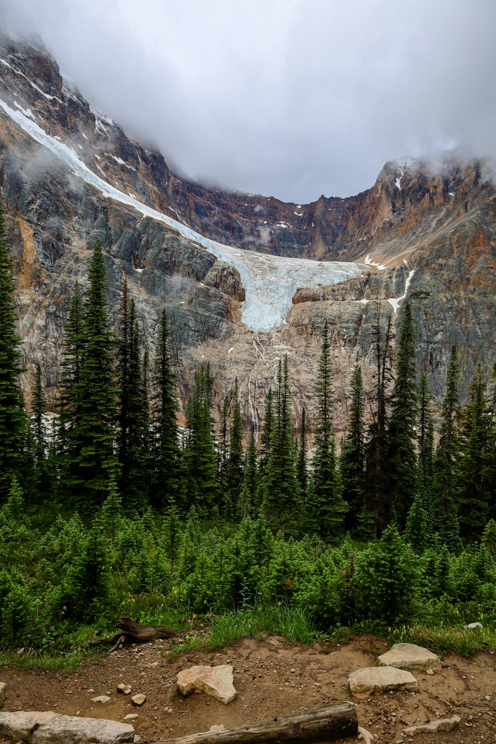 a rocky mountain with trees and a river below