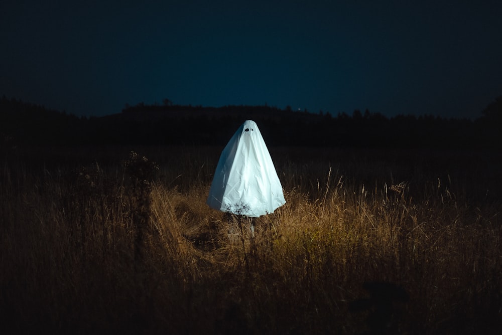 a large white tent in a field