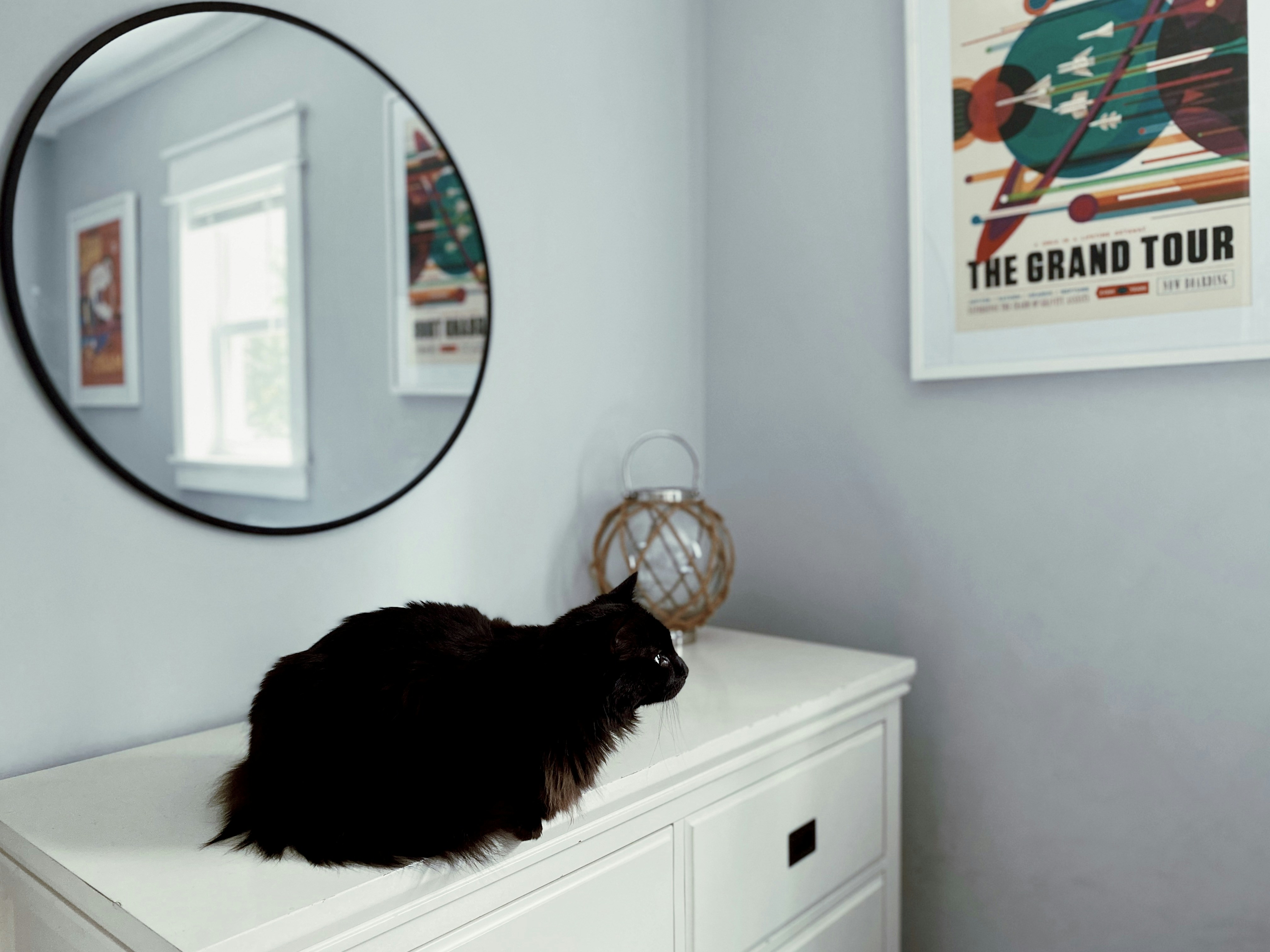 ကြောင်လေး ဘာကြောင့် ပစ္စည်းတွေ တွန်းချရတယ်