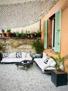 a room with a couch and plants