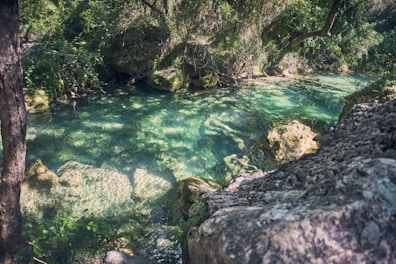 a river with rocks and trees