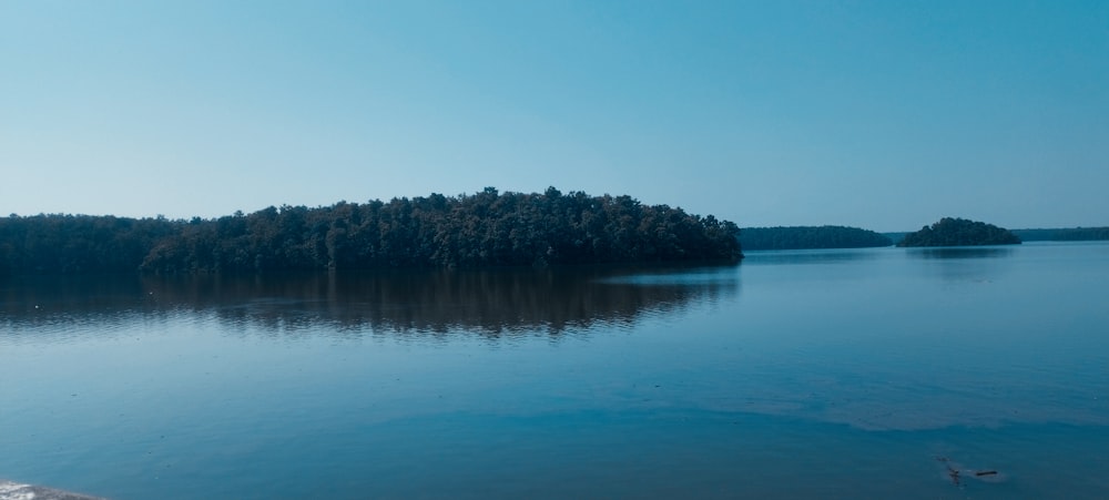 a body of water with trees in the background