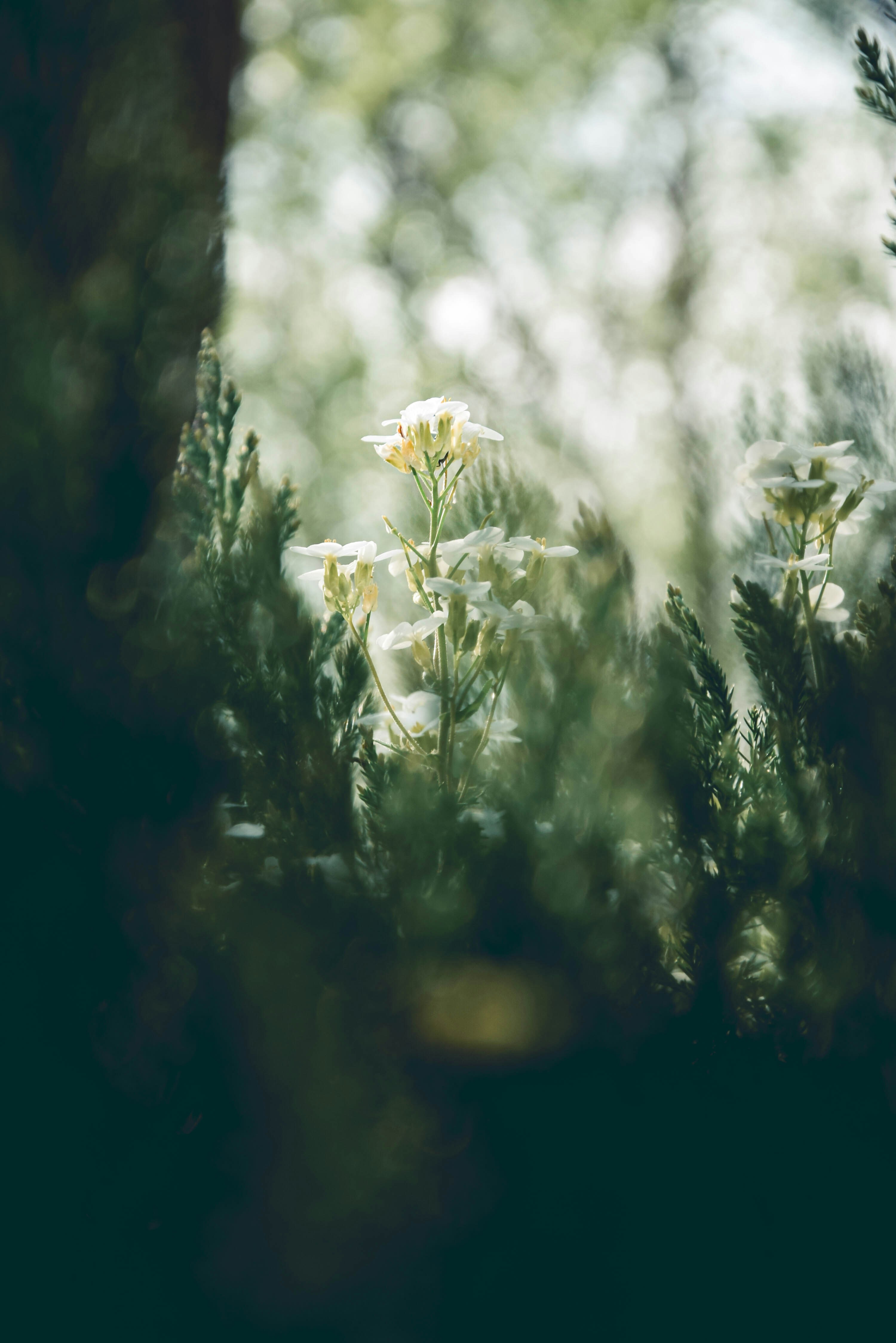 Photo by vovca17