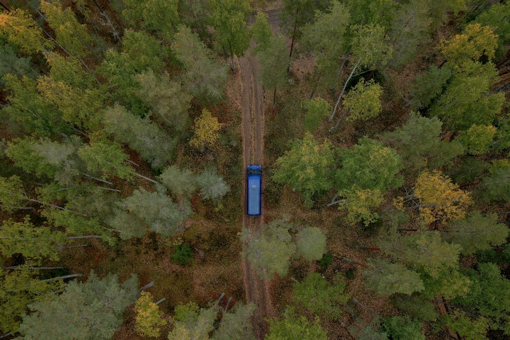 Une boîte bleue dans une forêt