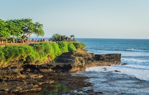 a rocky beach with trees and a body of water