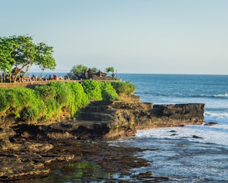 a rocky beach with trees and a body of water