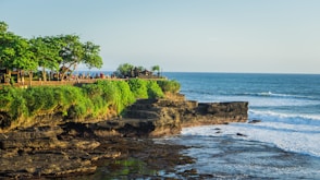 a rocky beach with trees and a body of water