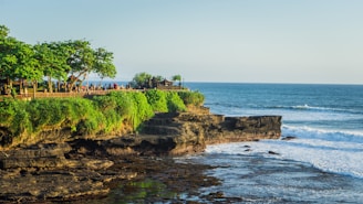 a rocky beach with trees and a body of water