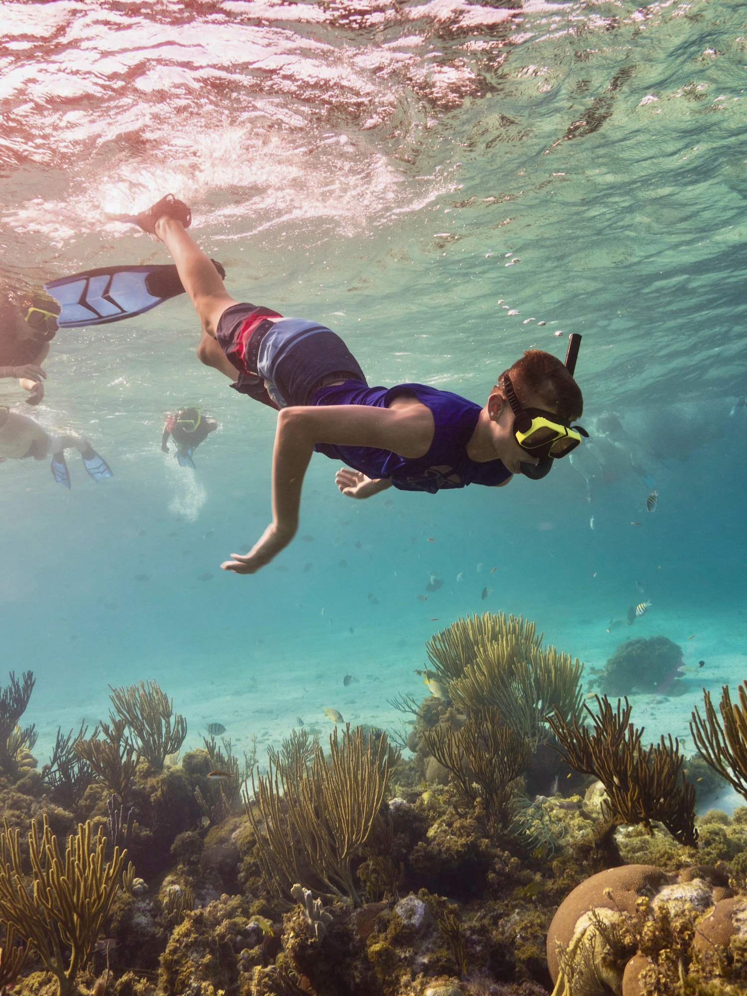 A snorkeler wearing a mask and fins swimming above a coral reef