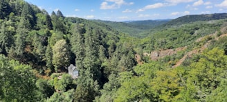 Private mountain estate surrounded by lush forests under clear sky.