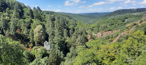 A cozy guest house nestled among lush green hills under a clear blue sky.