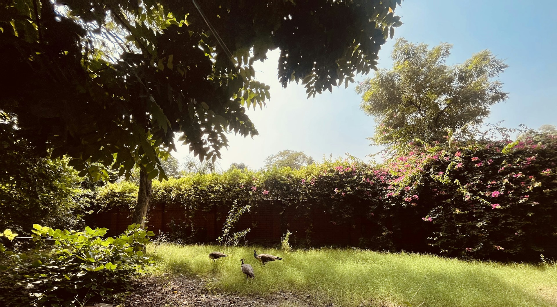 woman wearing yellow long-sleeved dress under white clouds and blue sky during daytime