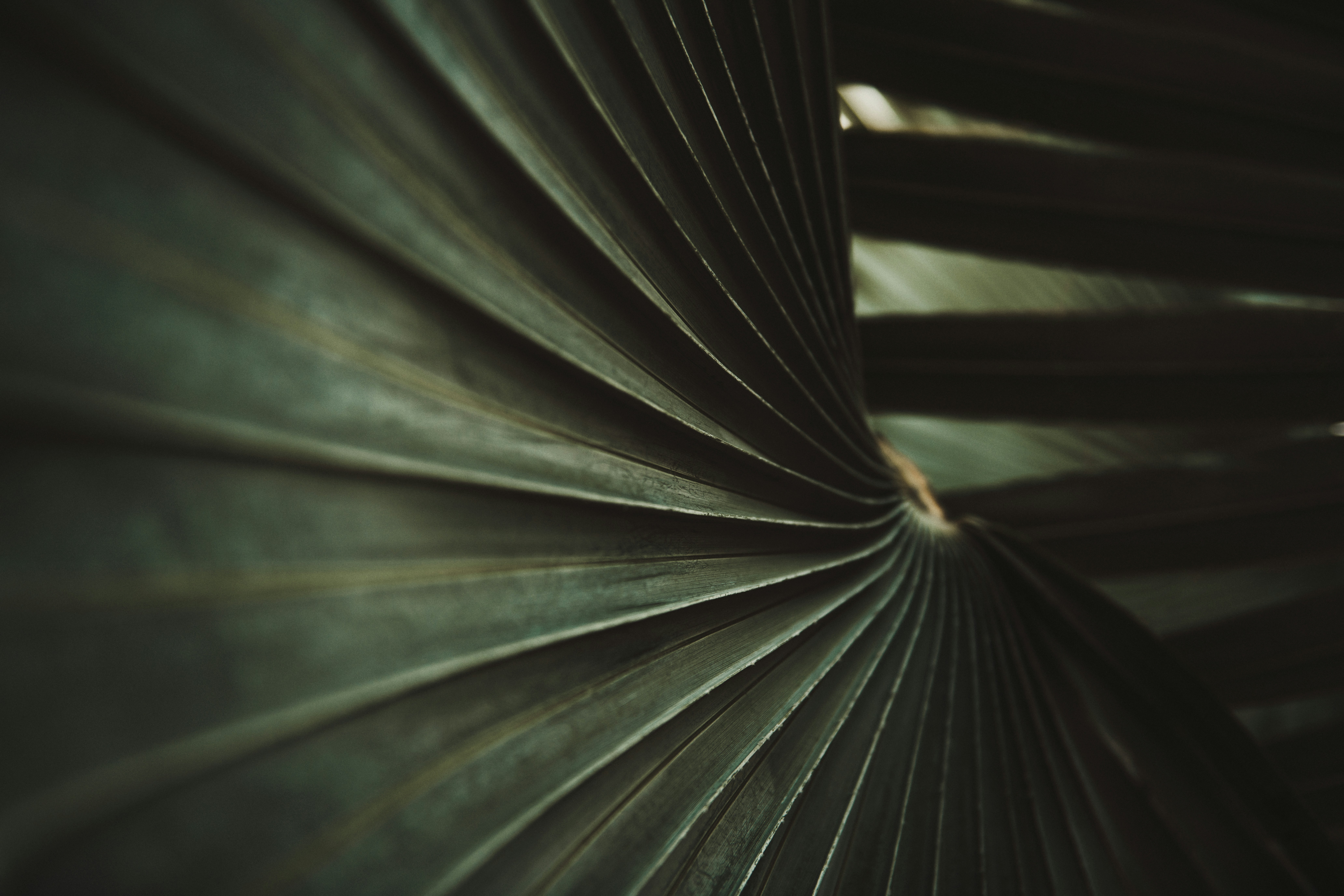 Photo by timmossholder