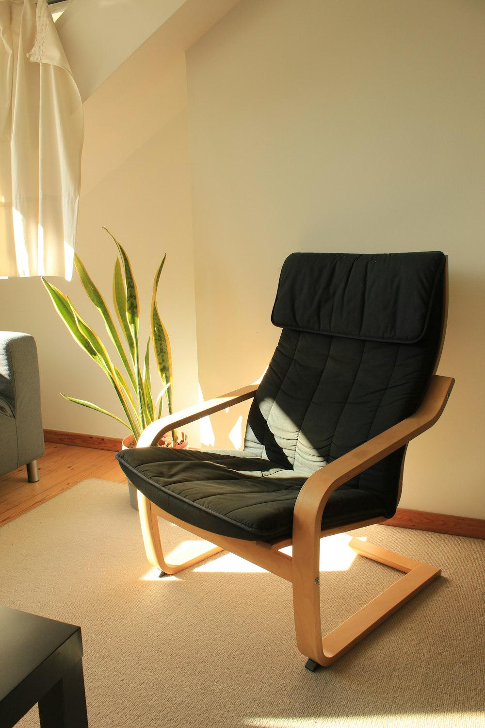 a black chair with a plant on it