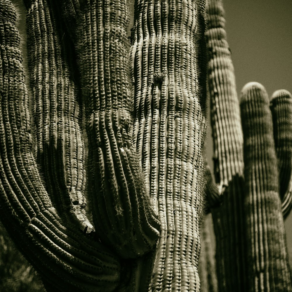 a close-up of a person's pants