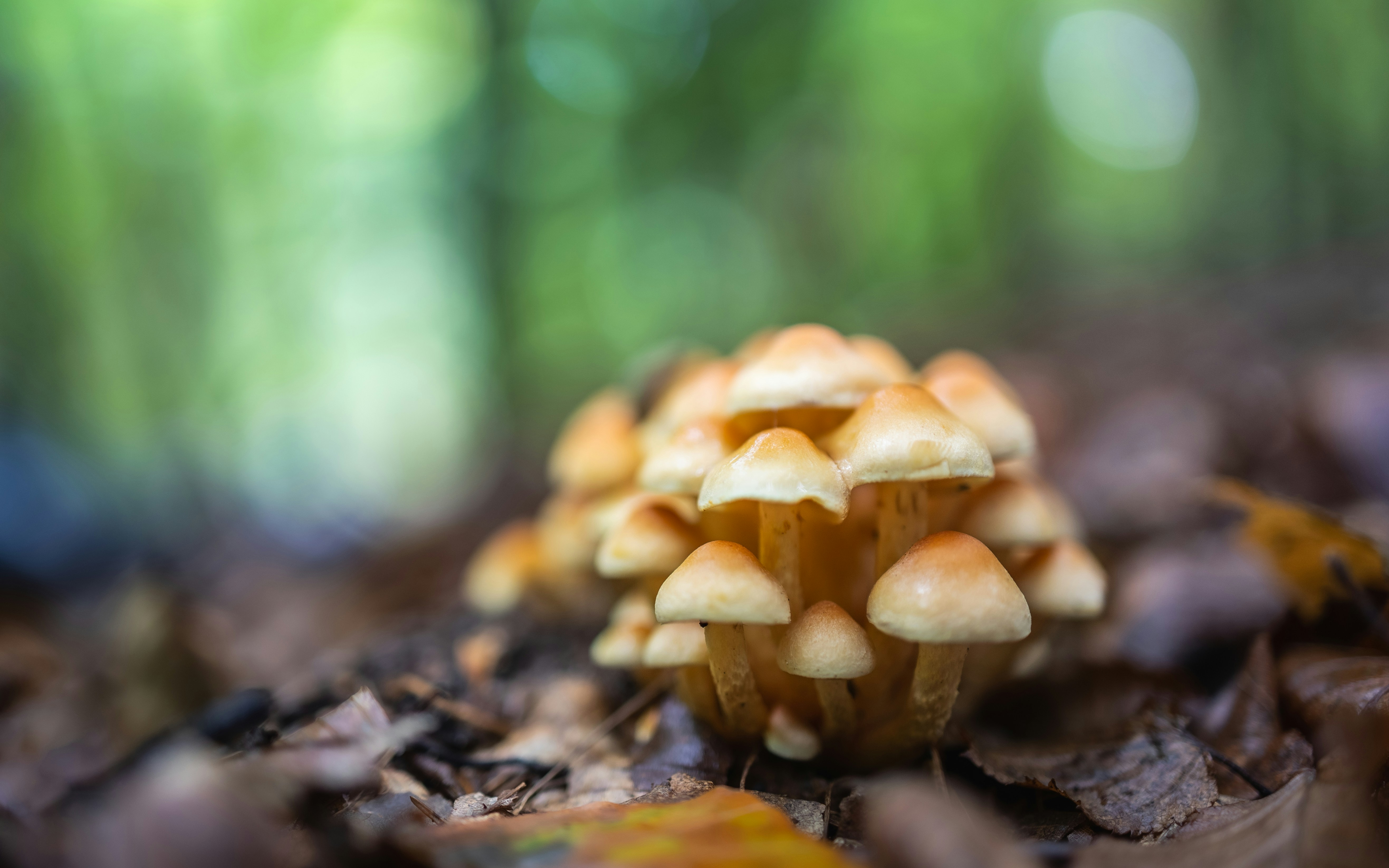 Photo by marekpiwnicki