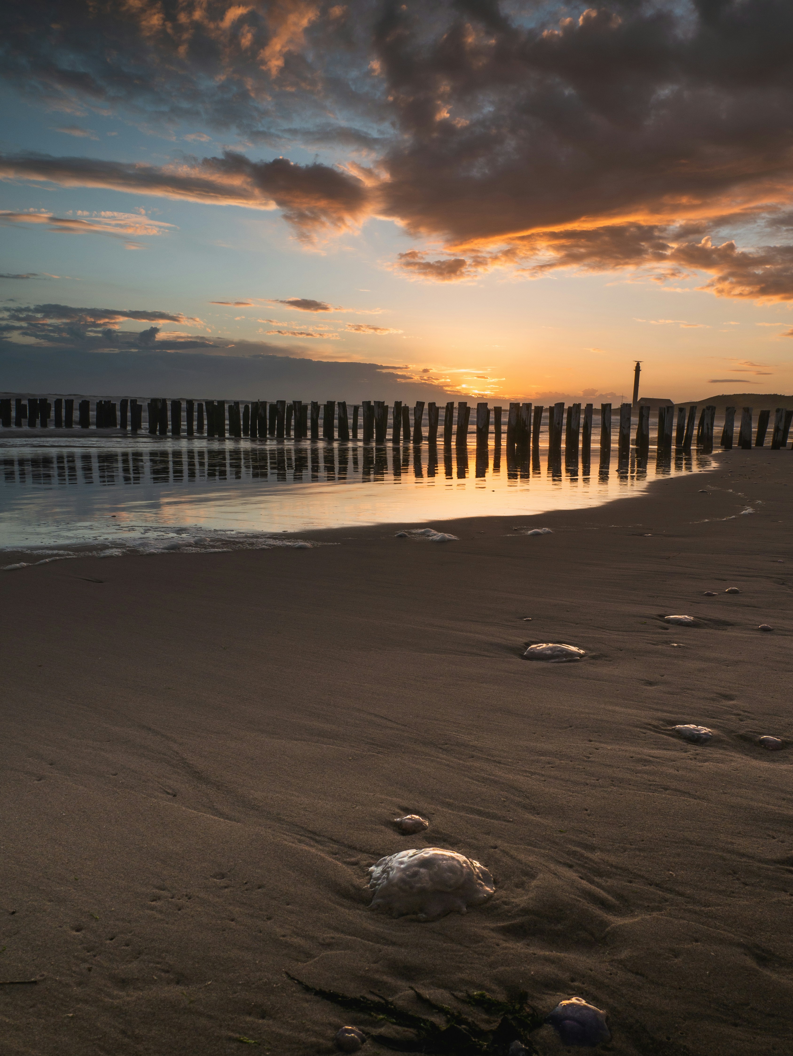 Photo by floriandormann