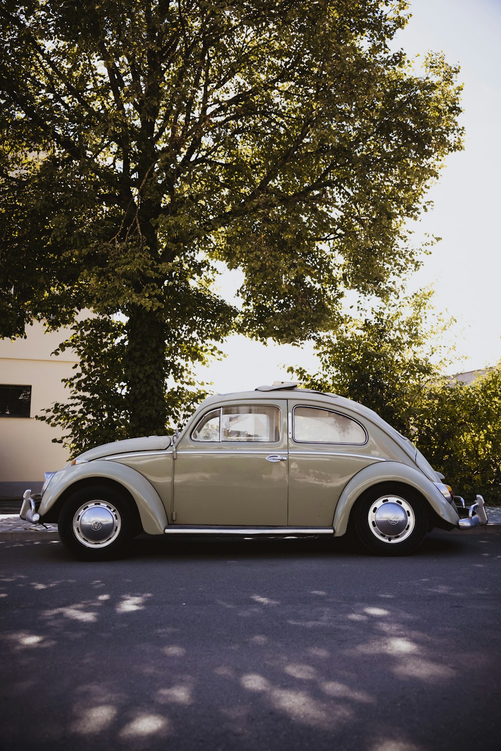 a car parked in front of a tree