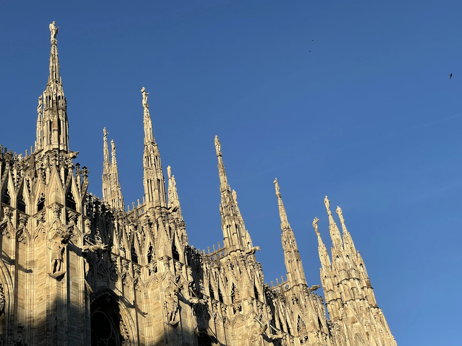 Milan rooftops at golden hour