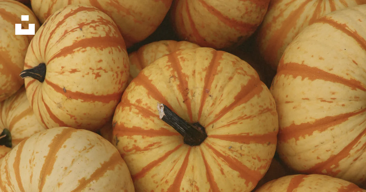 Foto Un montón de calabazas – Imagen Octubre gratis en Unsplash