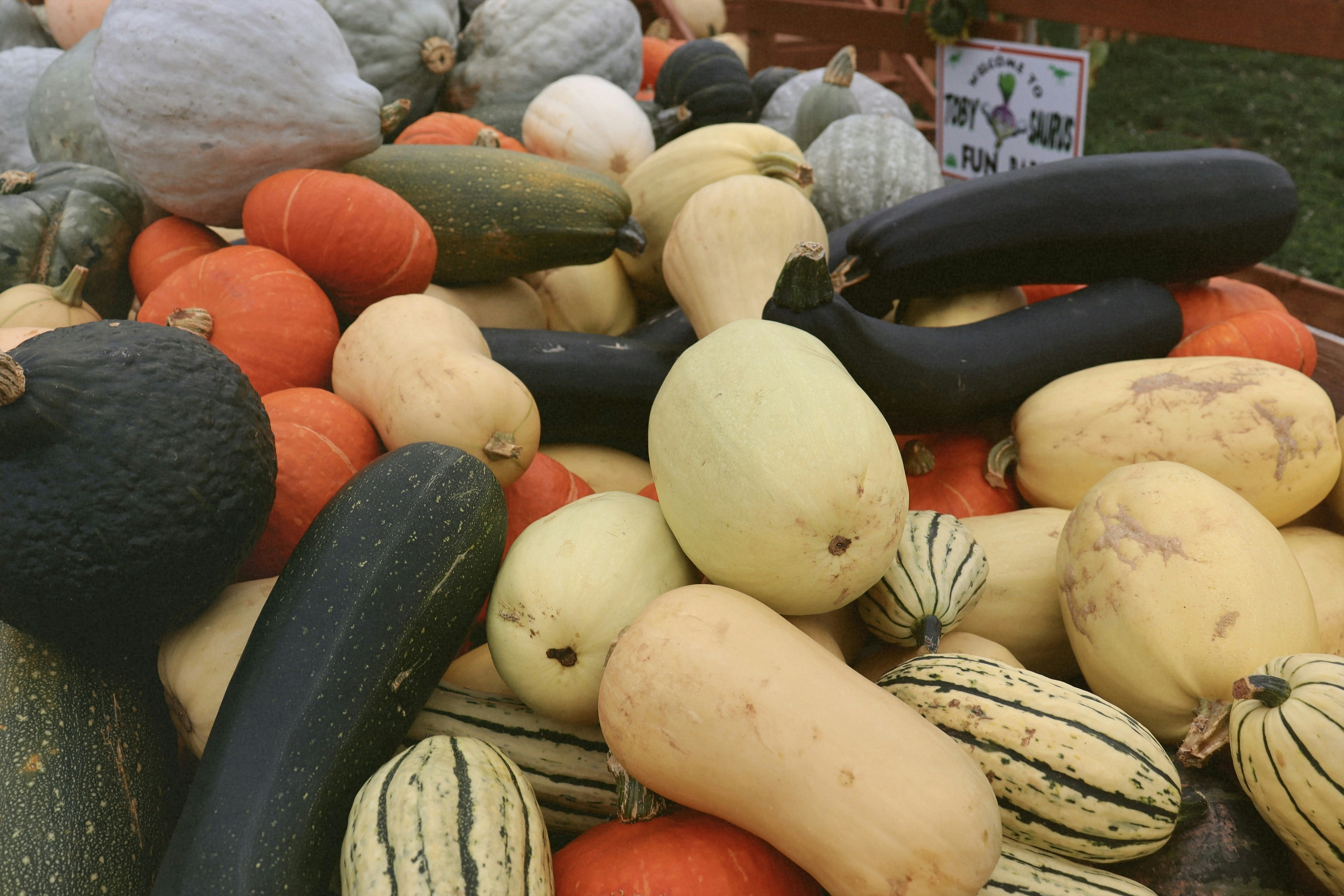 a pile of vegetables