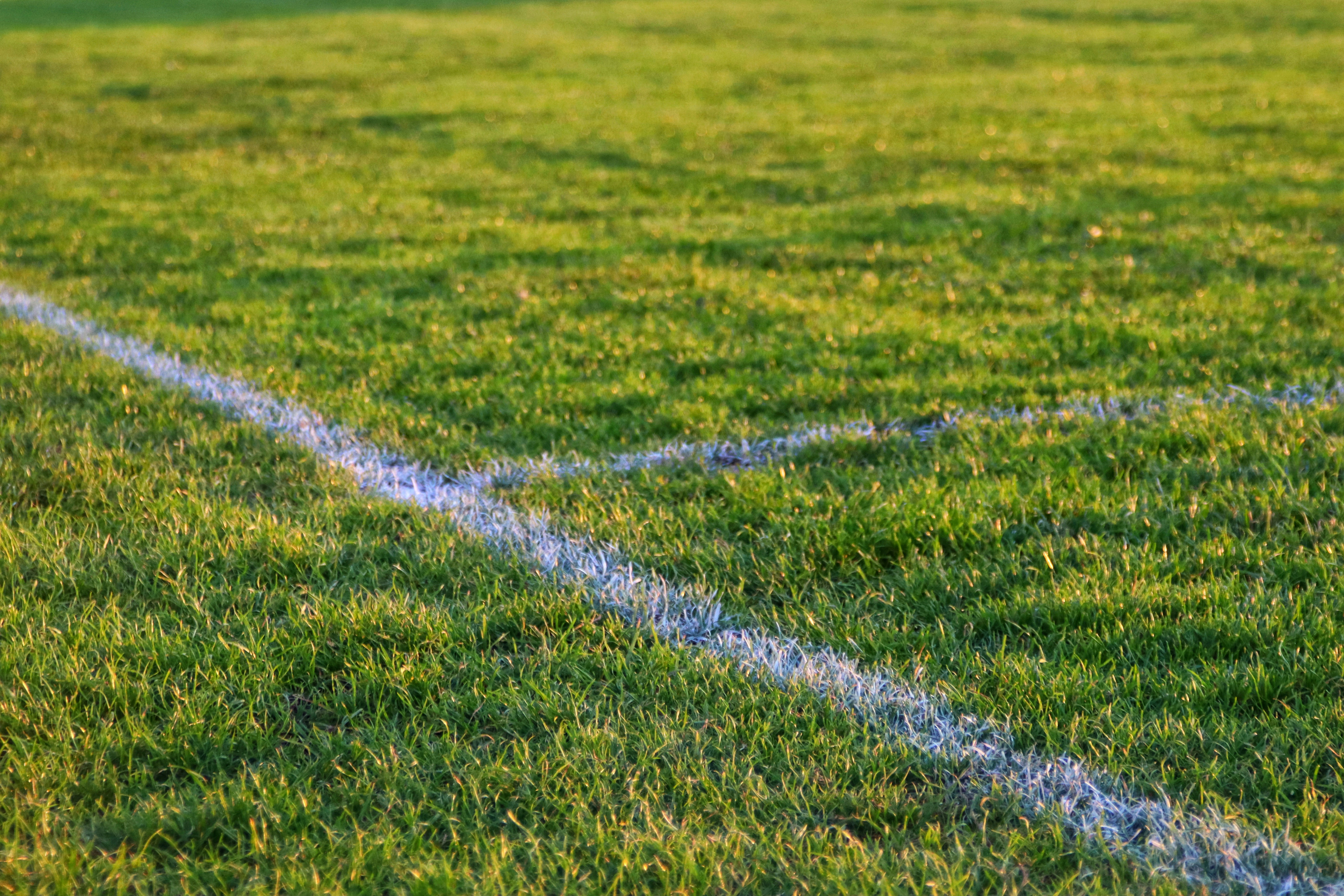 Photo by augustinfoto