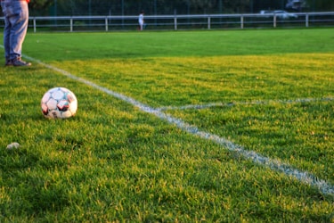 Descubre Jugador Doce MX: El Futuro del Periodismo Deportivo