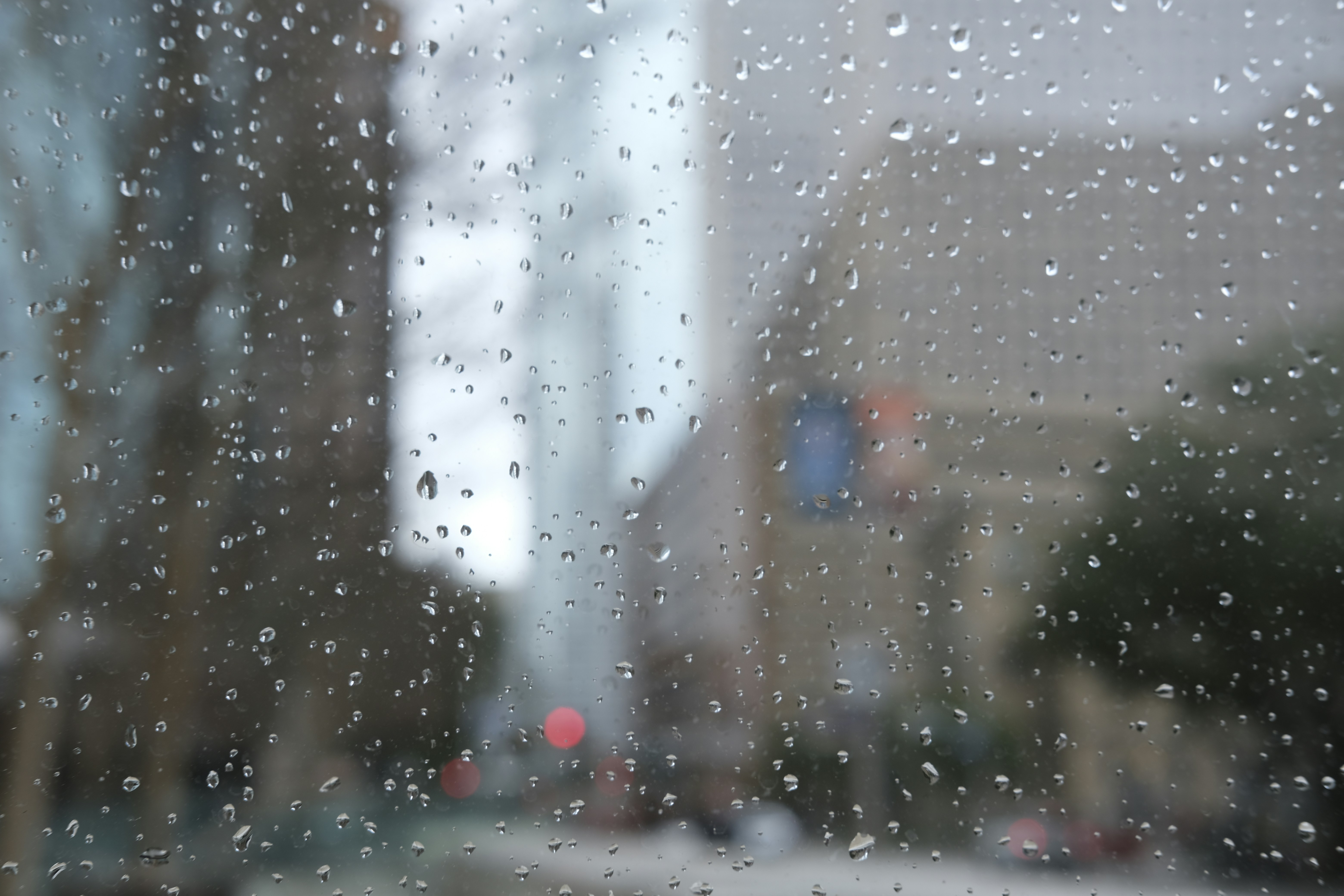 Photo by freelife4ever