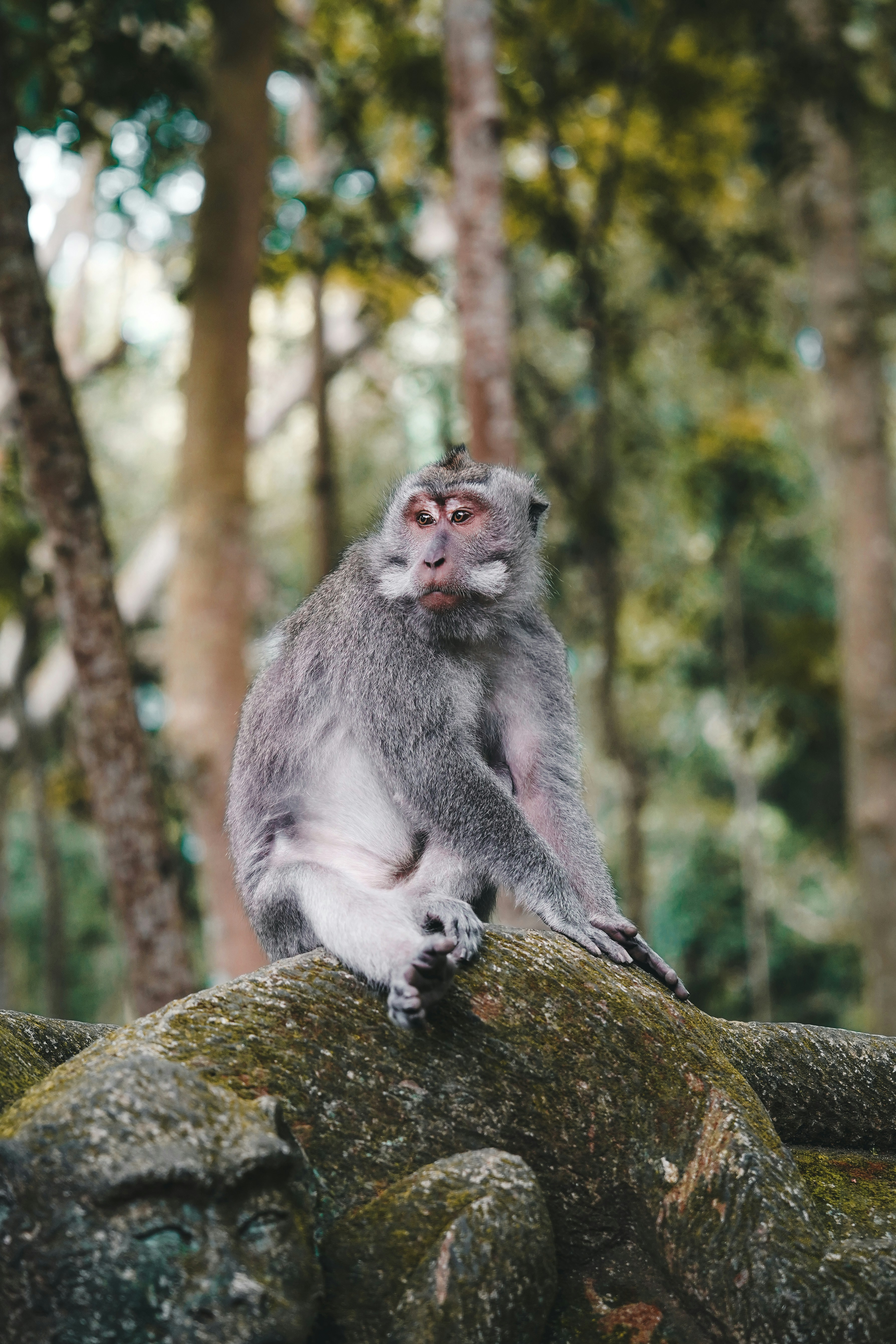 Photo by kevin_charit