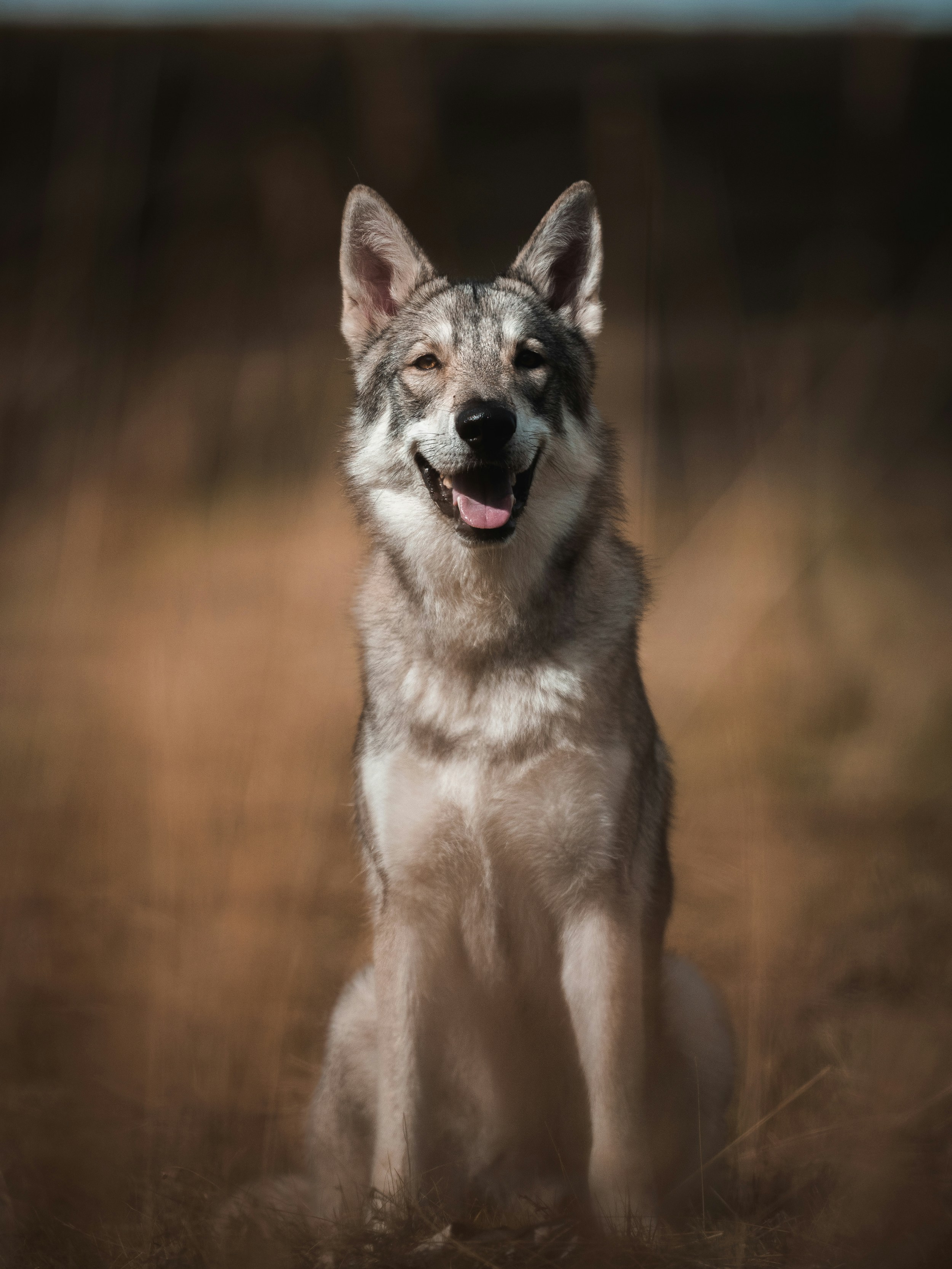 Photo by honzareznik