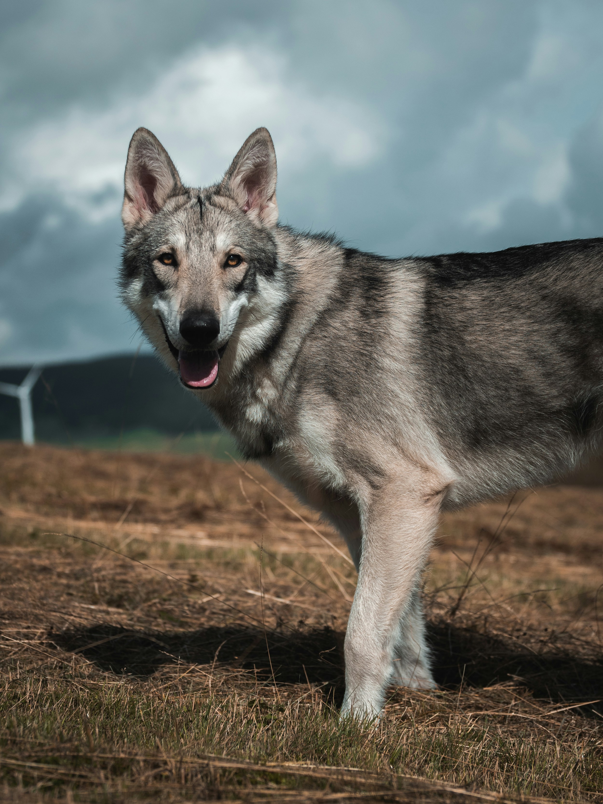 Photo by honzareznik