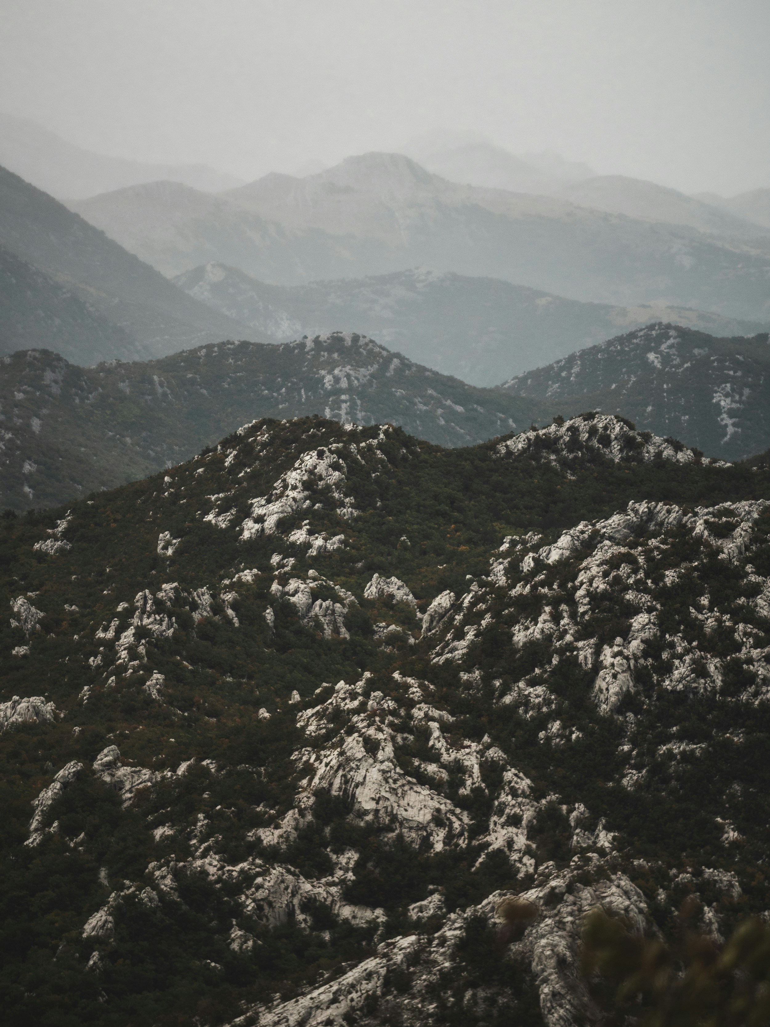 Photo by honzareznik