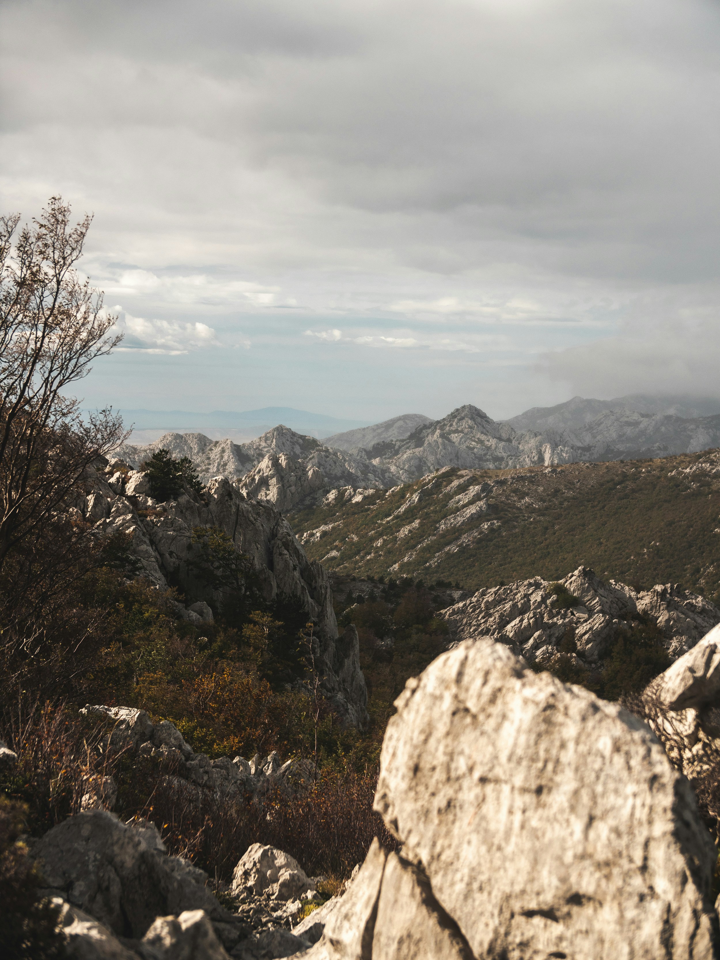 Photo by honzareznik